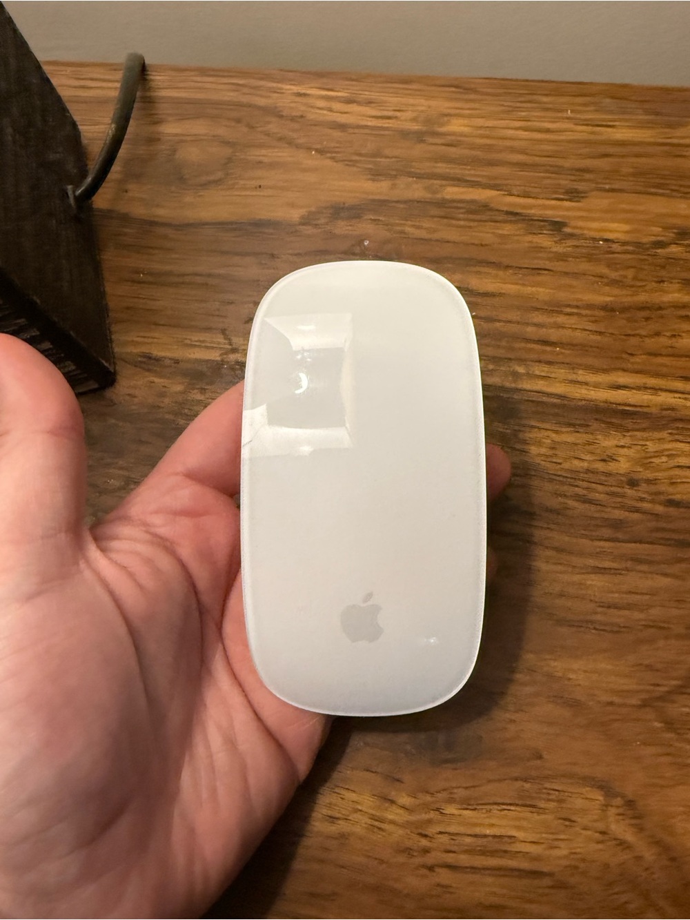 Apple Magic Mouse in Silver with Black Accents